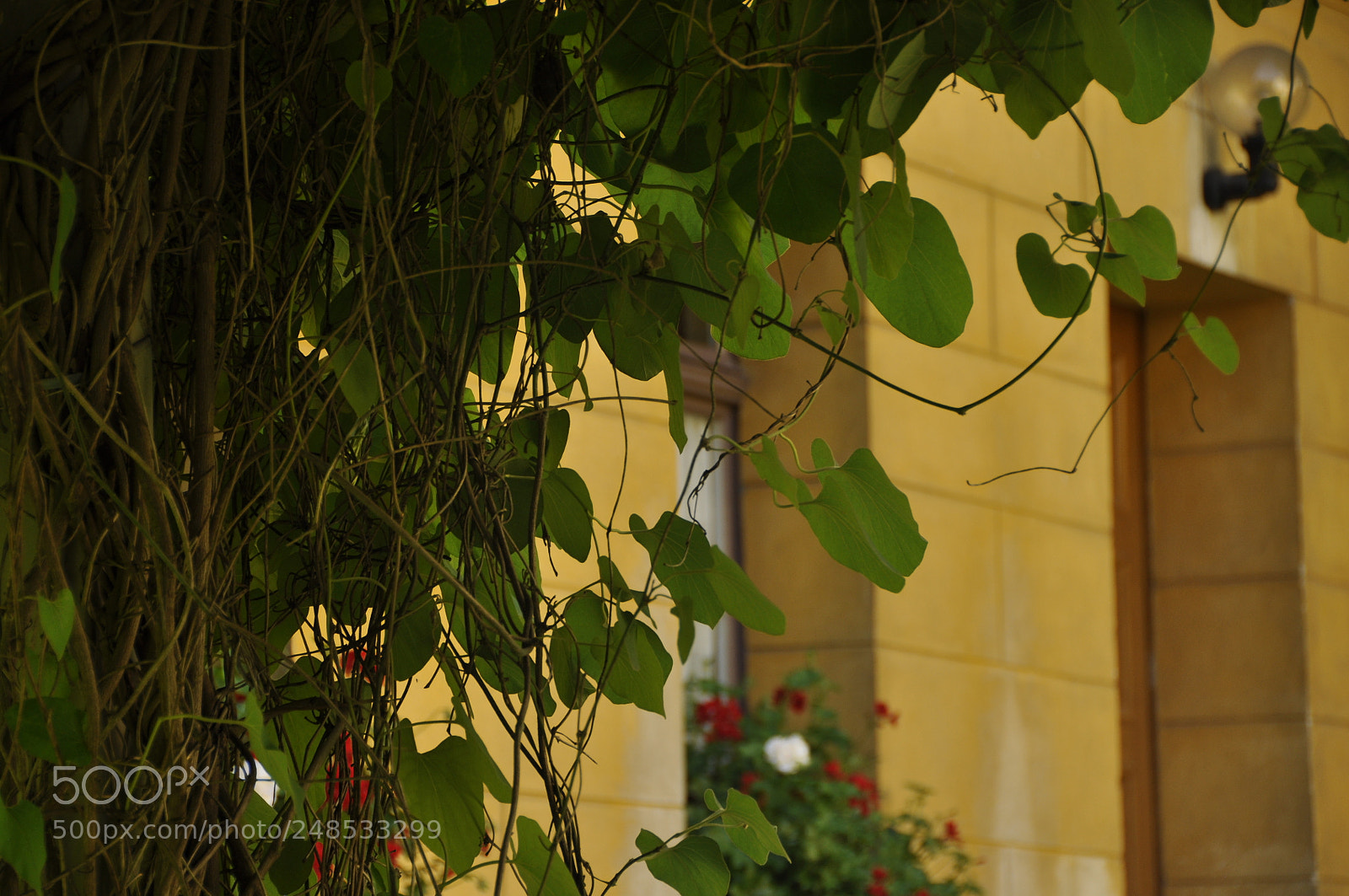 Nikon D90 sample photo. Potsdam. photography