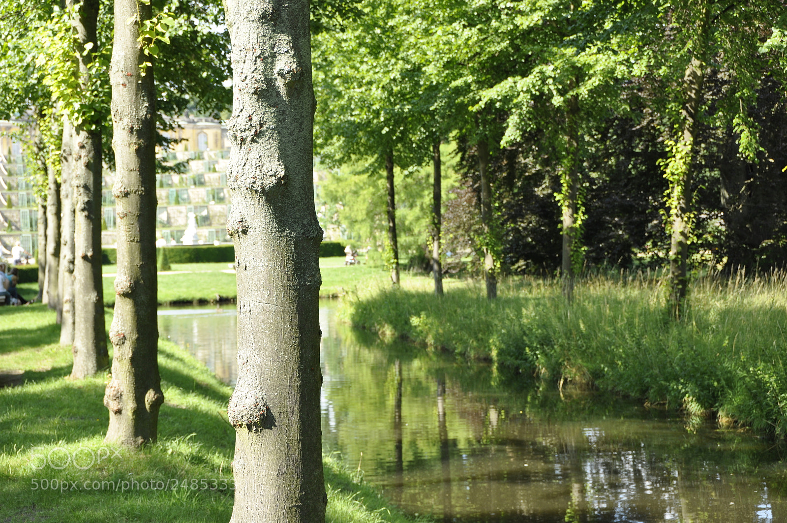 Nikon D90 sample photo. Potsdam. photography
