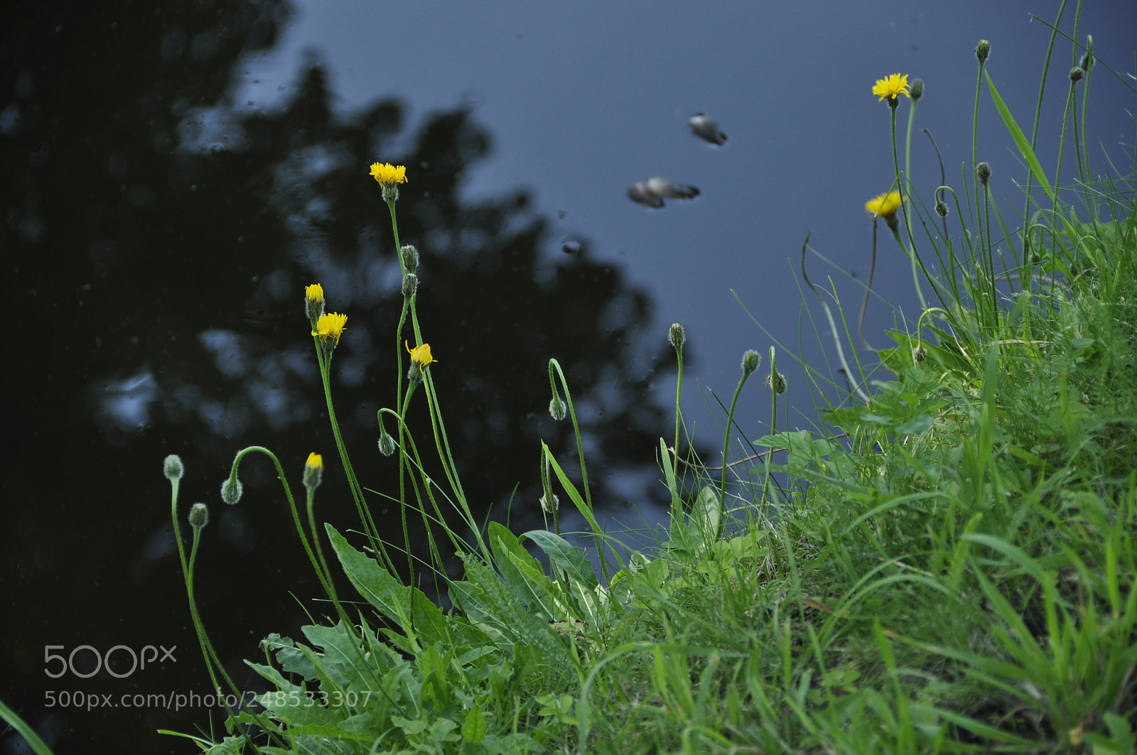 Nikon D90 sample photo. Potsdam. photography