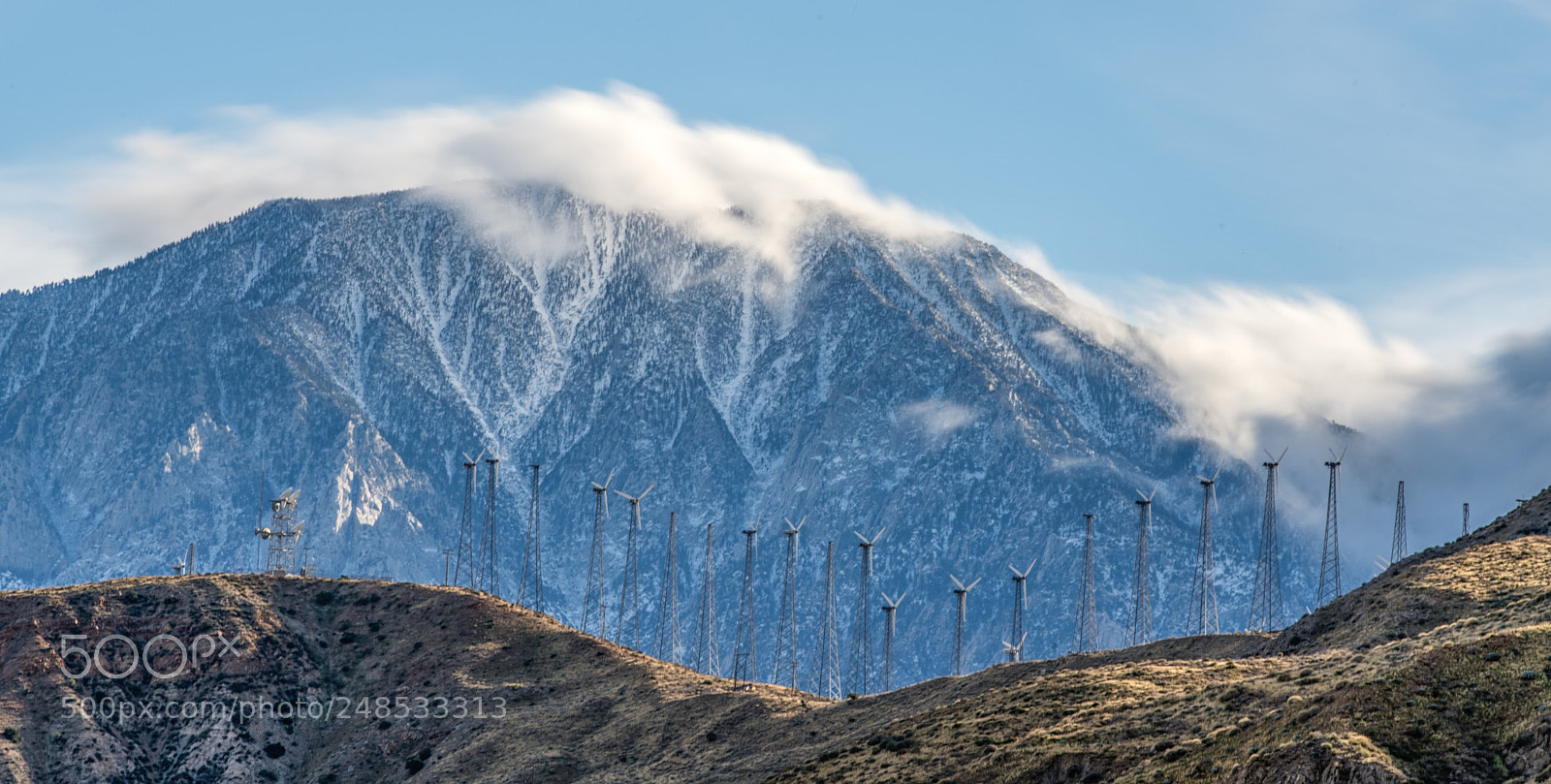 Sony a7R III sample photo. Winds blow photography