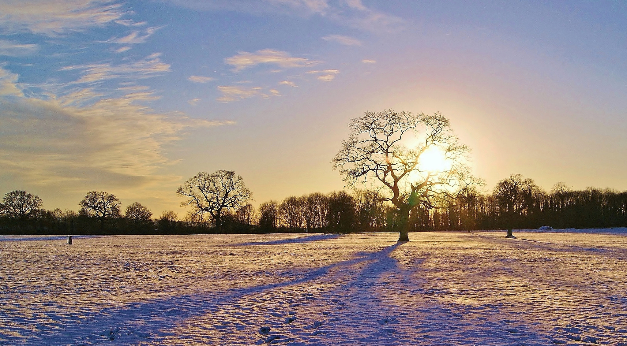 Sony Alpha DSLR-A380 sample photo. A winter sunset ... photography
