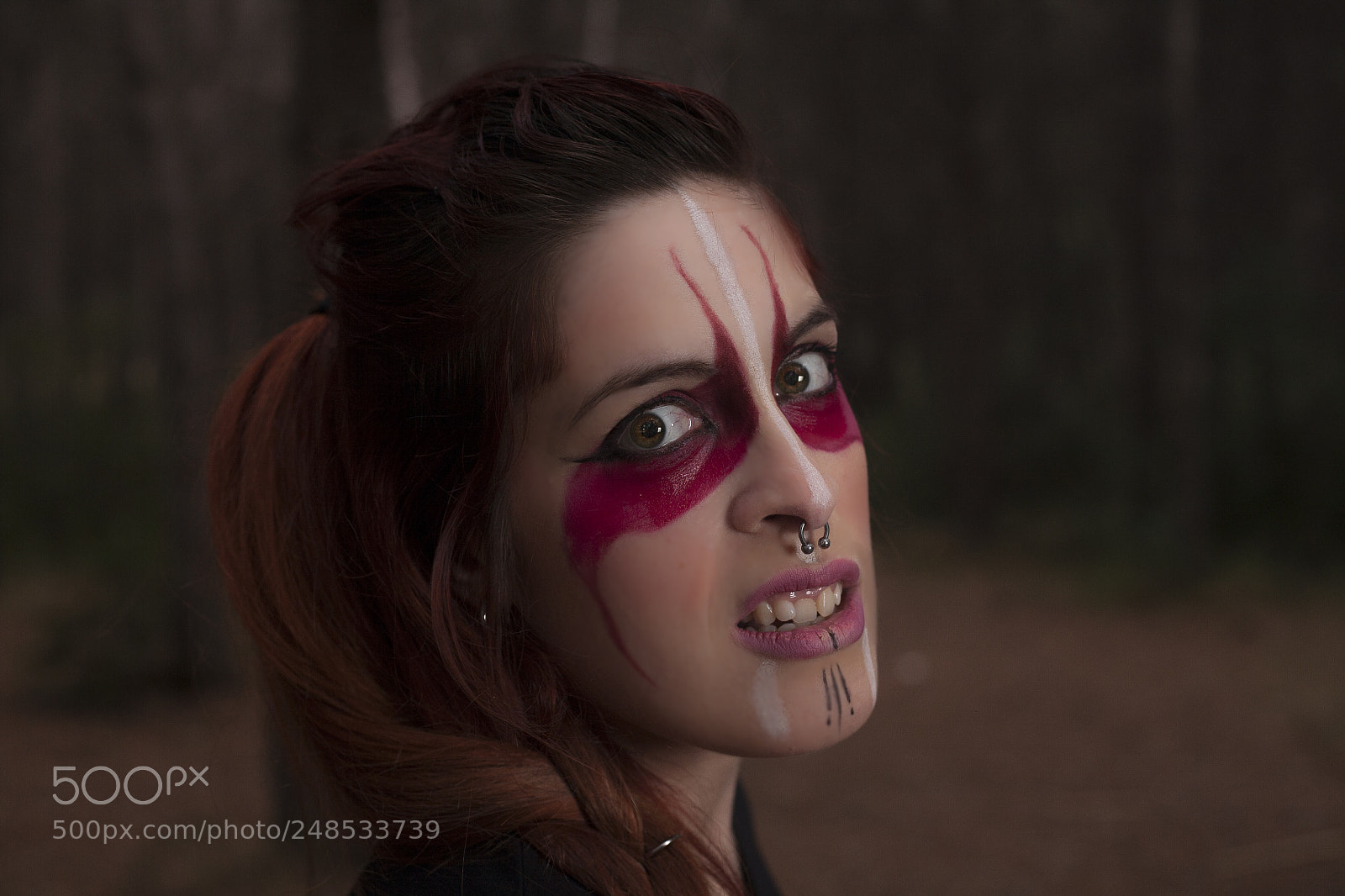Canon EOS 5D sample photo. Pinturas de guerra photography