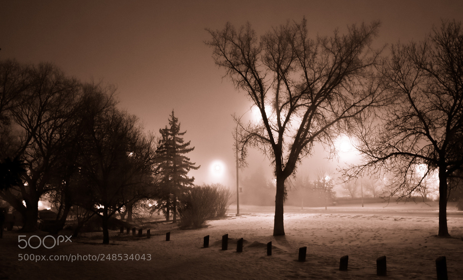 Nikon D5500 sample photo. Gloomy regina-1 photography