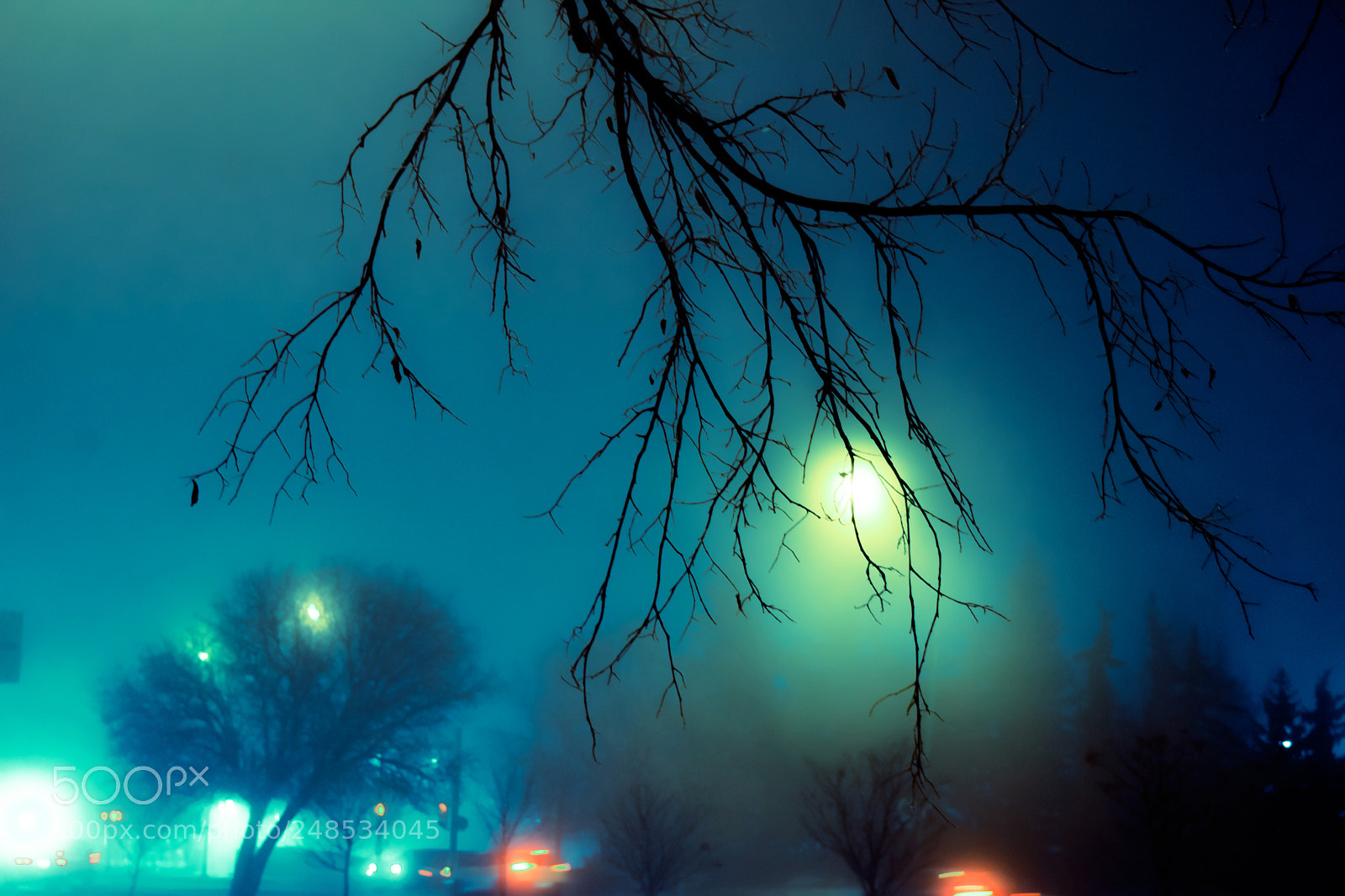 Nikon D5500 sample photo. Gloomy regina-2 photography