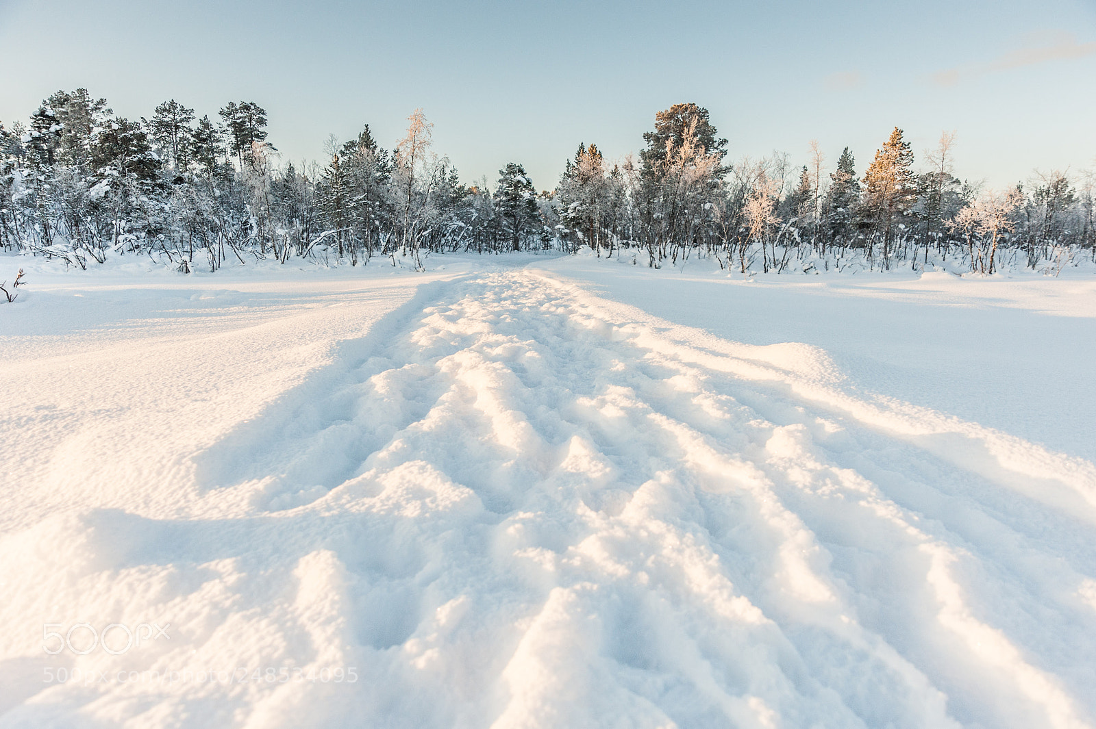 Nikon D700 sample photo. Arctic north pole photography