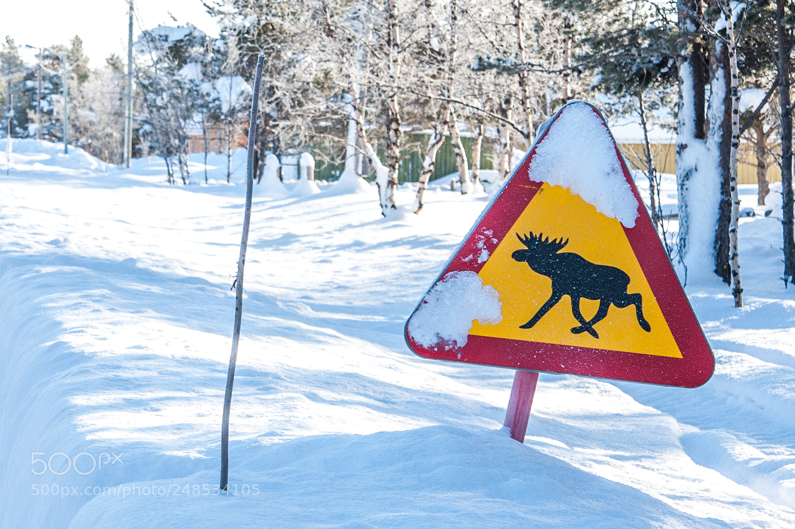 Nikon D700 sample photo. Arctic north pole photography