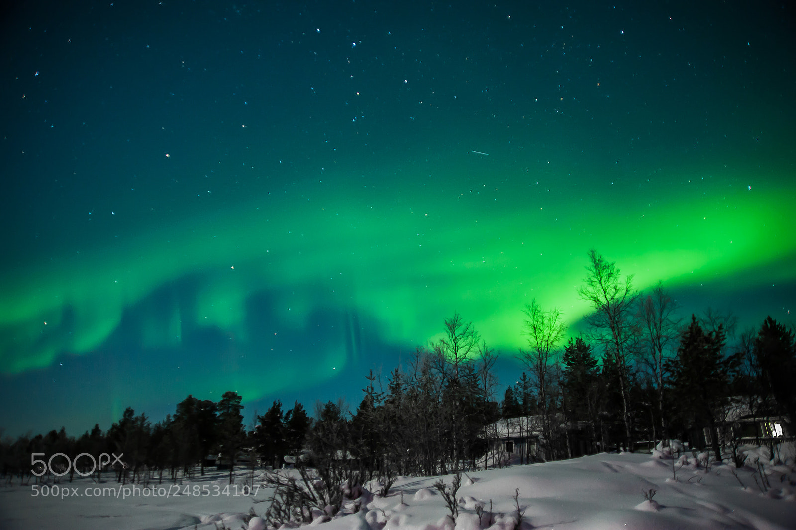 Nikon D700 sample photo. Arctic north pole photography