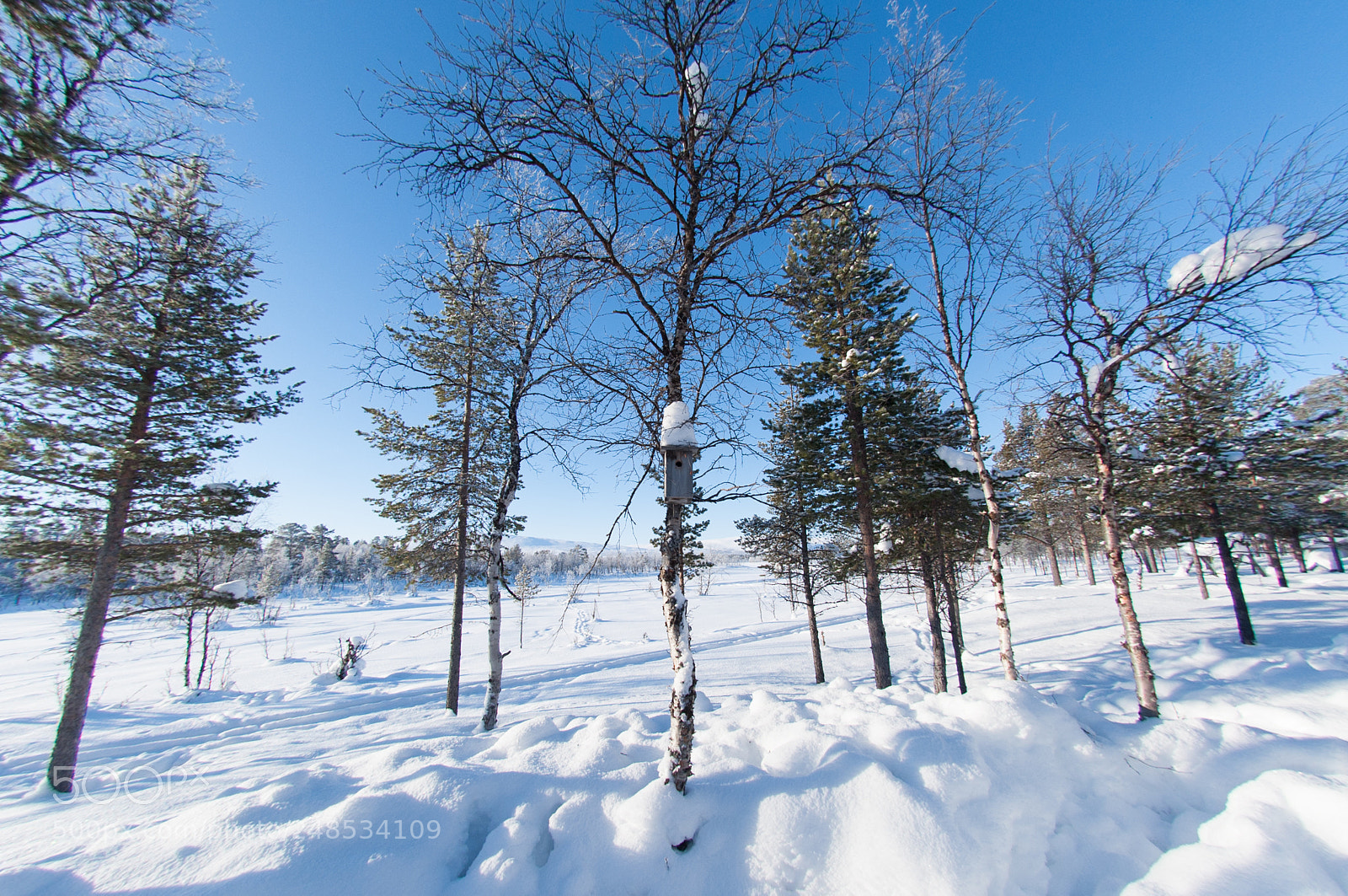 Nikon D700 sample photo. Arctic north pole photography