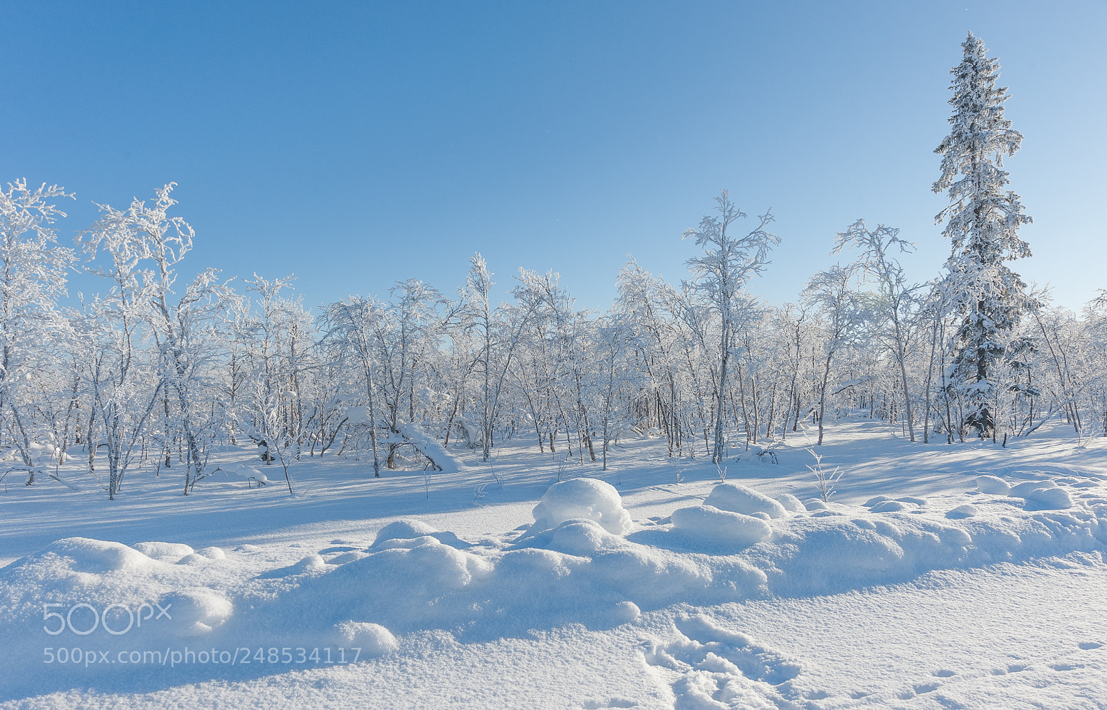 Nikon D700 sample photo. Arctic north pole photography