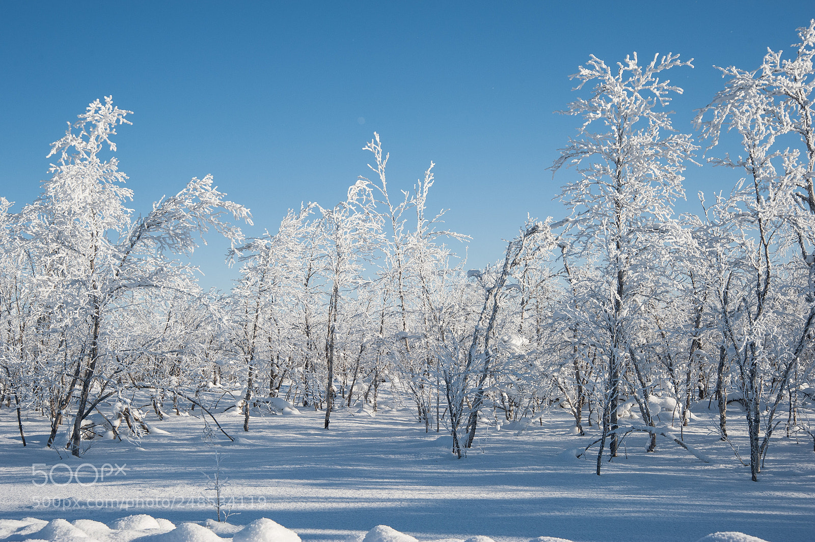 Nikon D700 sample photo. Arctic north pole photography