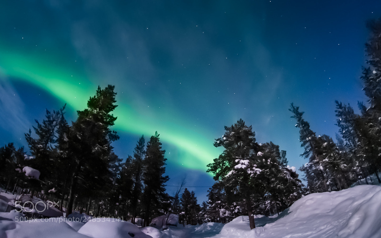 Nikon D700 sample photo. Arctic north pole photography