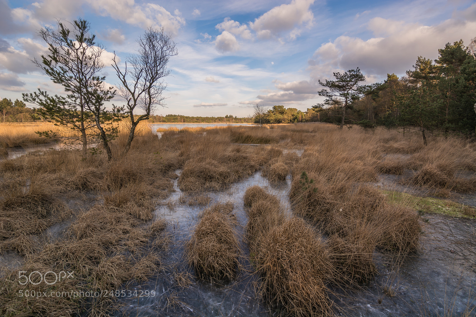 Nikon D5200 sample photo. The frozen marshes photography