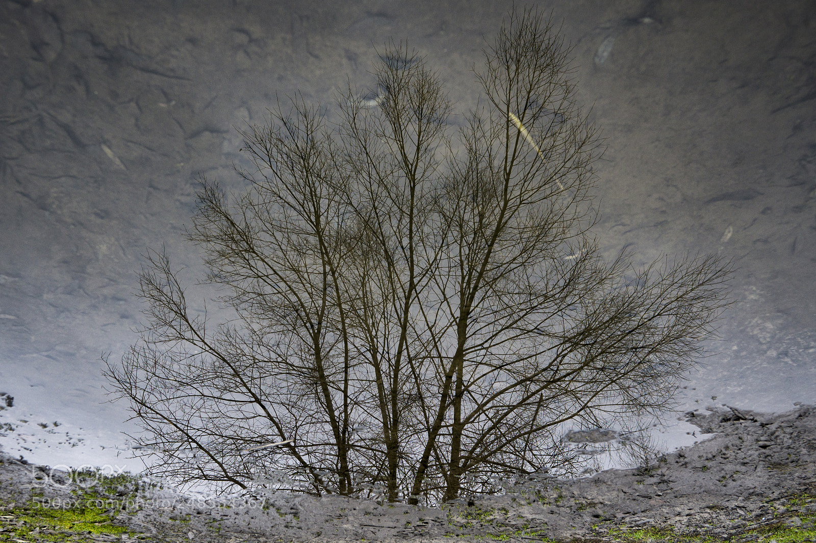 Sony a6000 sample photo. Reflection photography