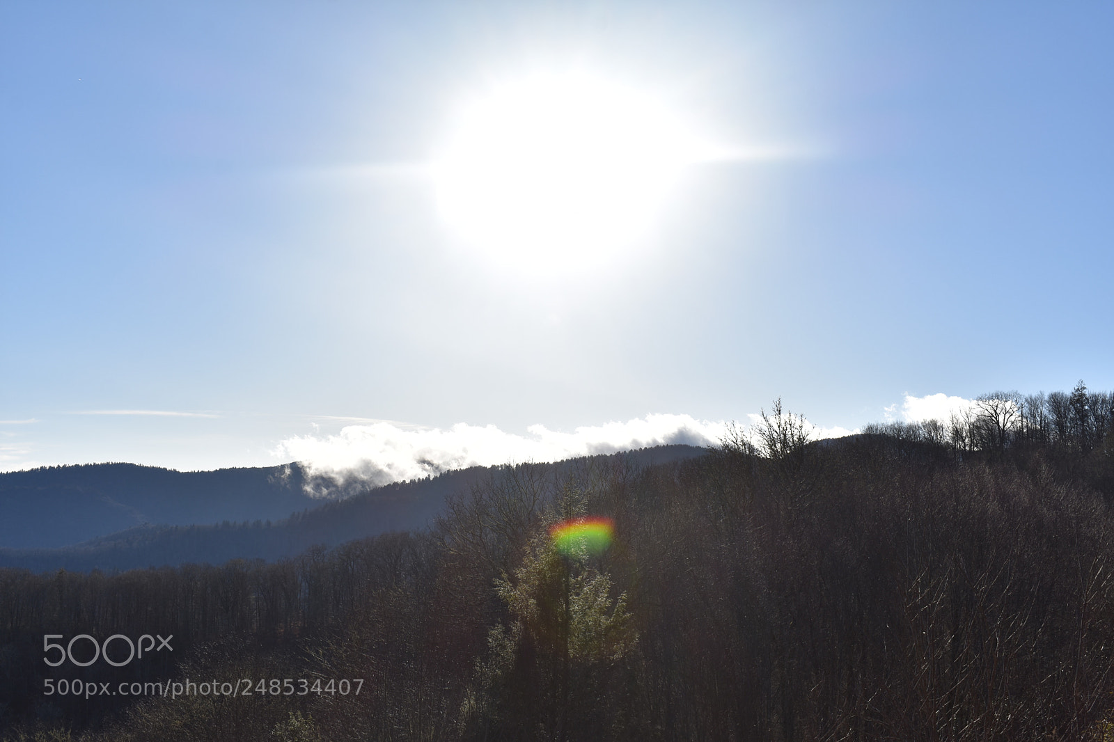 Nikon D3400 sample photo. Smoky mountains photography