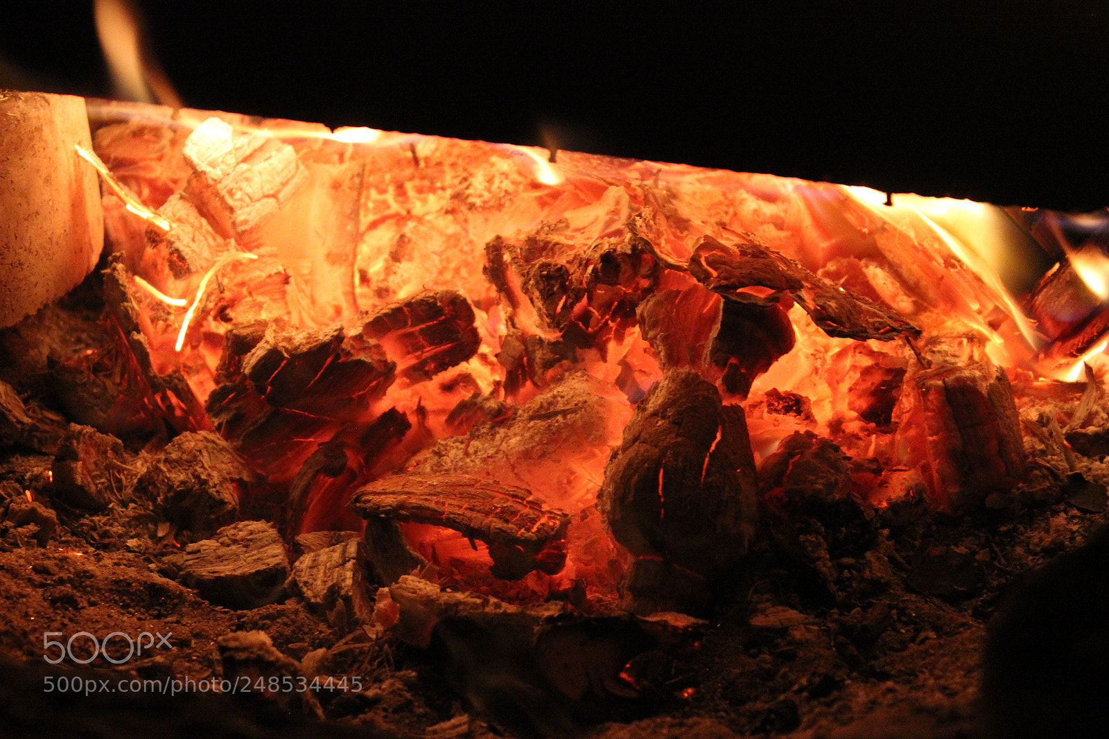 Canon EOS 600D (Rebel EOS T3i / EOS Kiss X5) sample photo. Nature wildlife photography