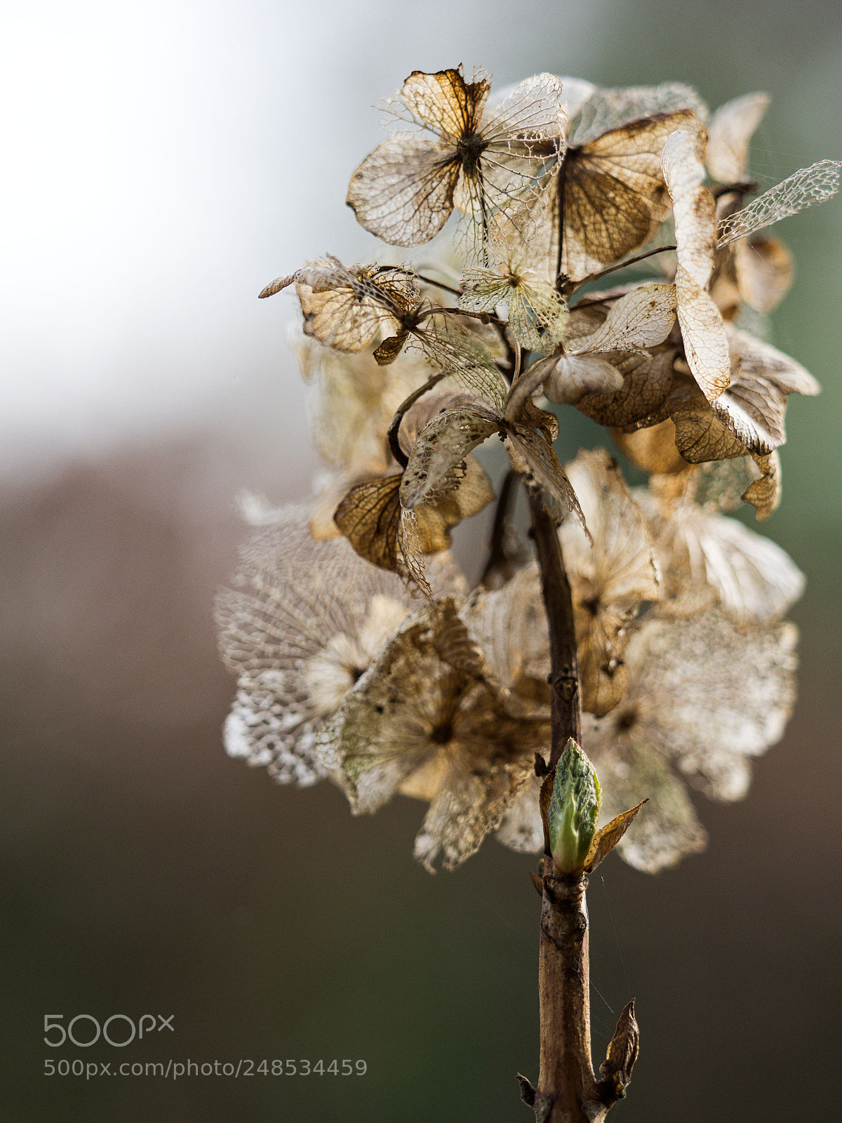 Olympus OM-D E-M1 sample photo. Alt und neu photography