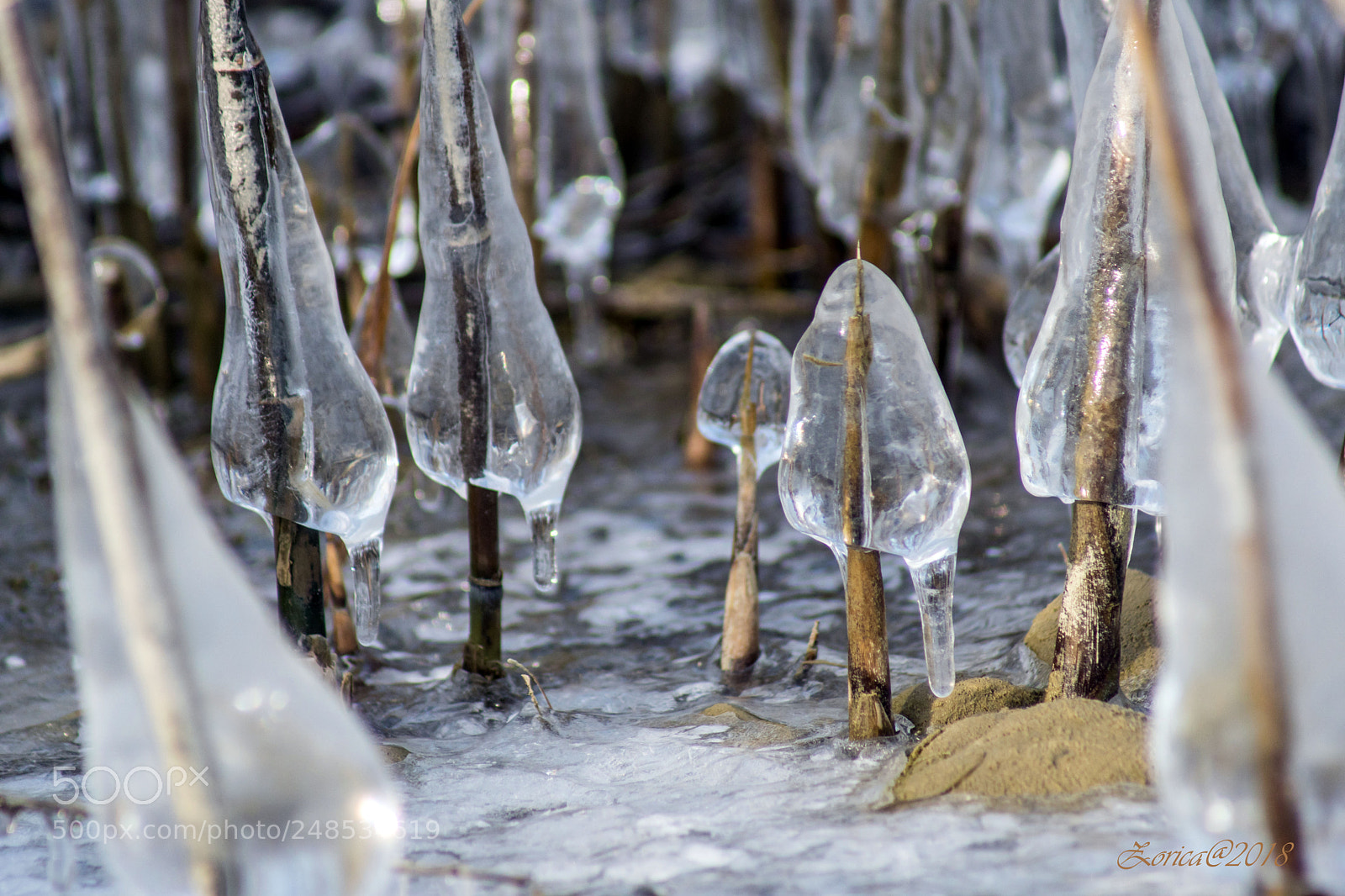 Sony ILCA-77M2 sample photo. Frozen drops photography