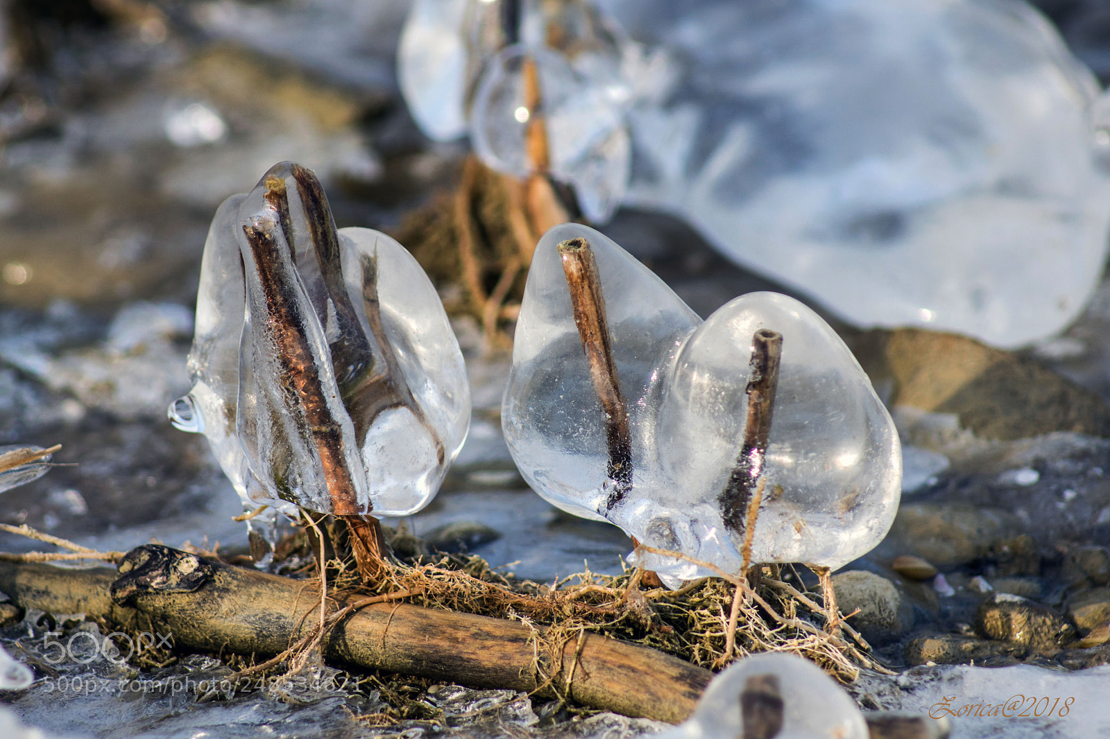 Sony ILCA-77M2 sample photo. Frozen drops photography