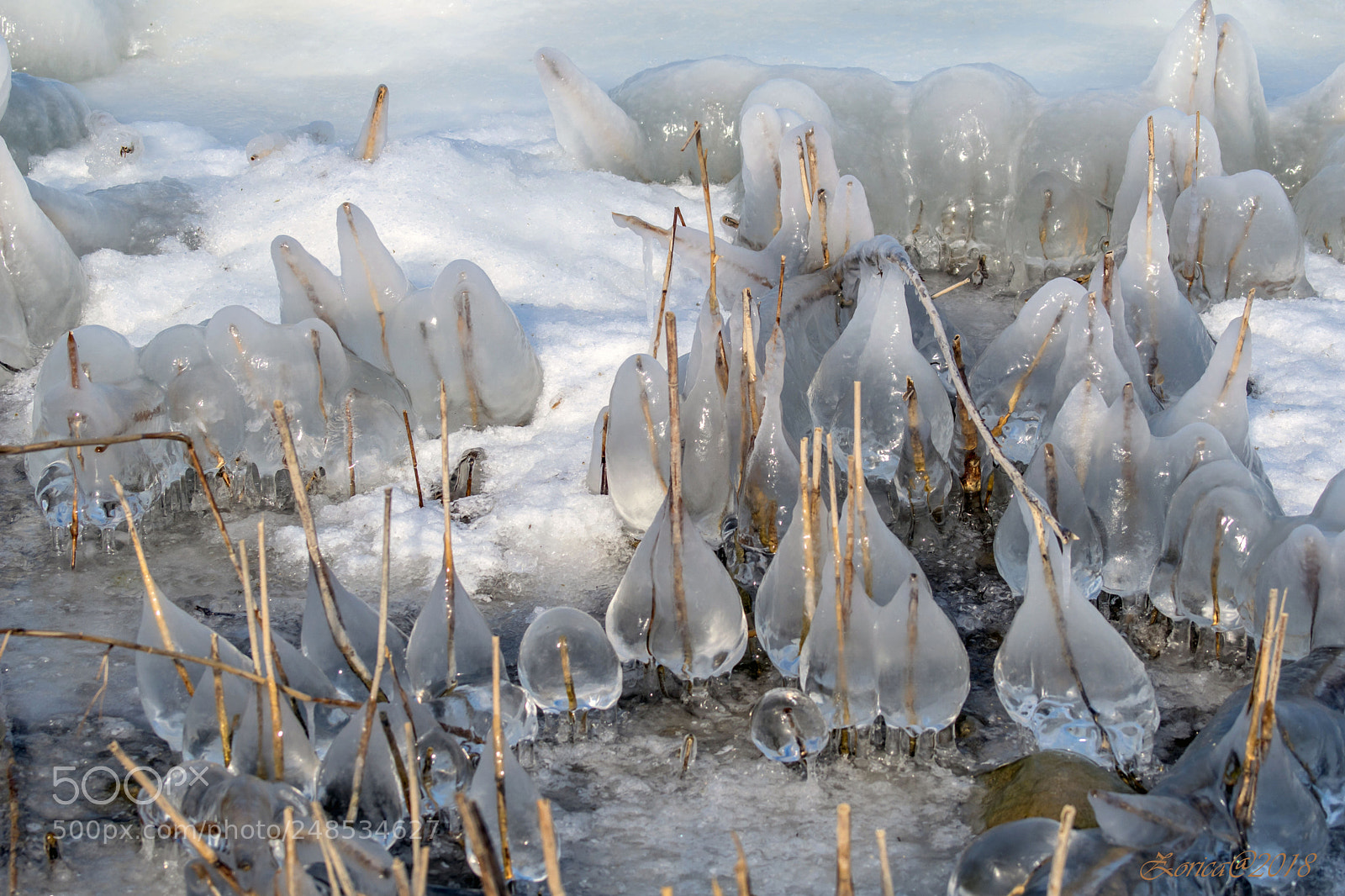 Sony ILCA-77M2 sample photo. Frozen drops photography