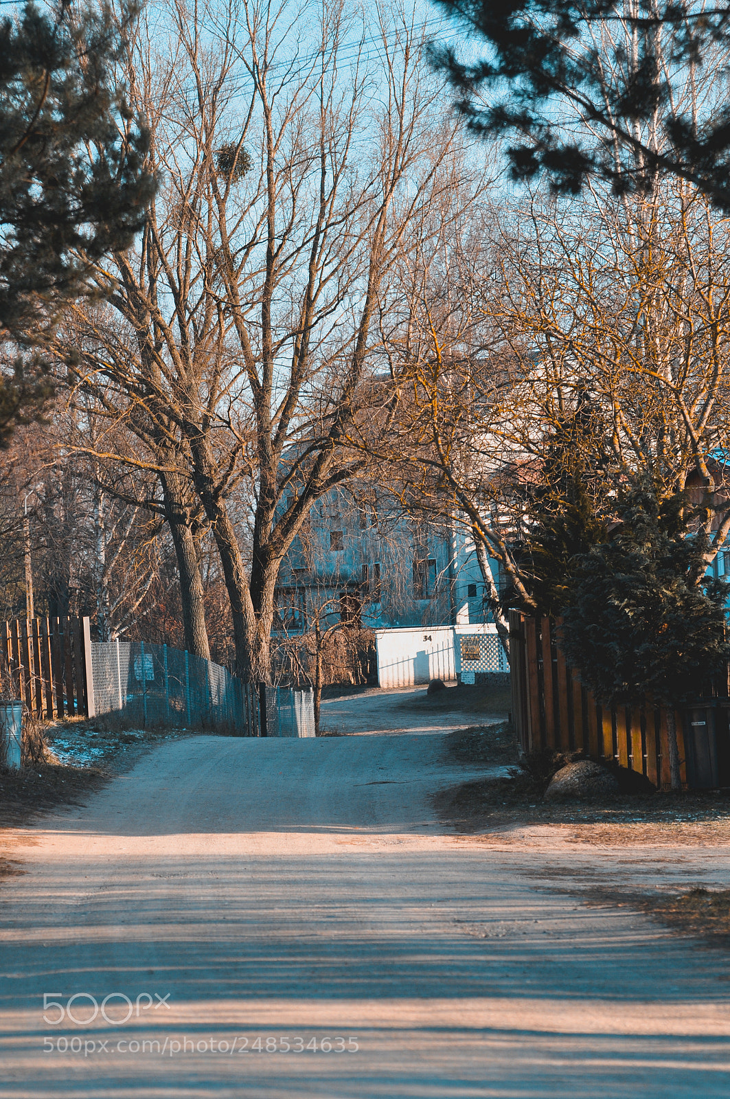 Nikon D90 sample photo. Countryside photography