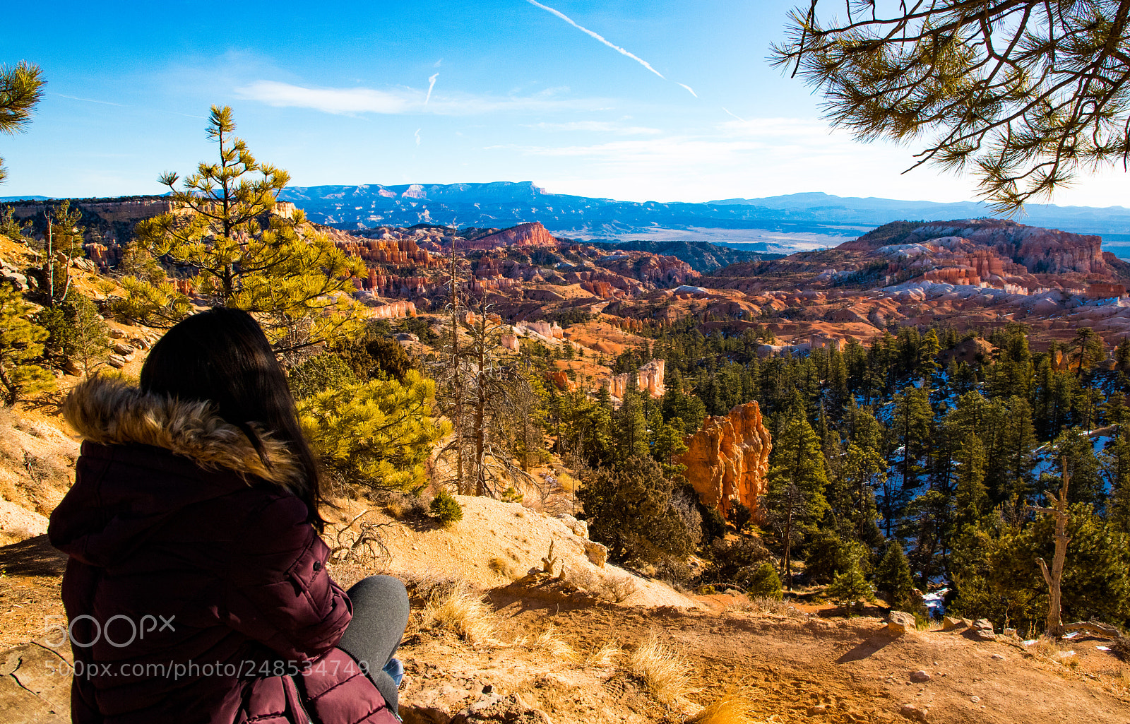 Canon EOS 6D Mark II sample photo. Pause and feel nature photography