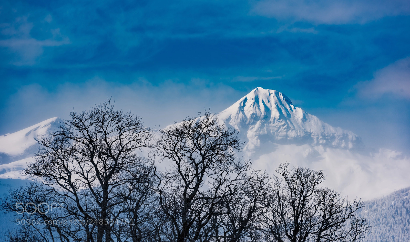 Nikon D810 sample photo. Snow in grindelwald photography