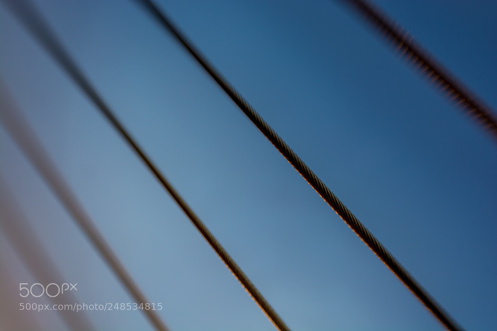 Nikon D7100 sample photo. Day 714 photography