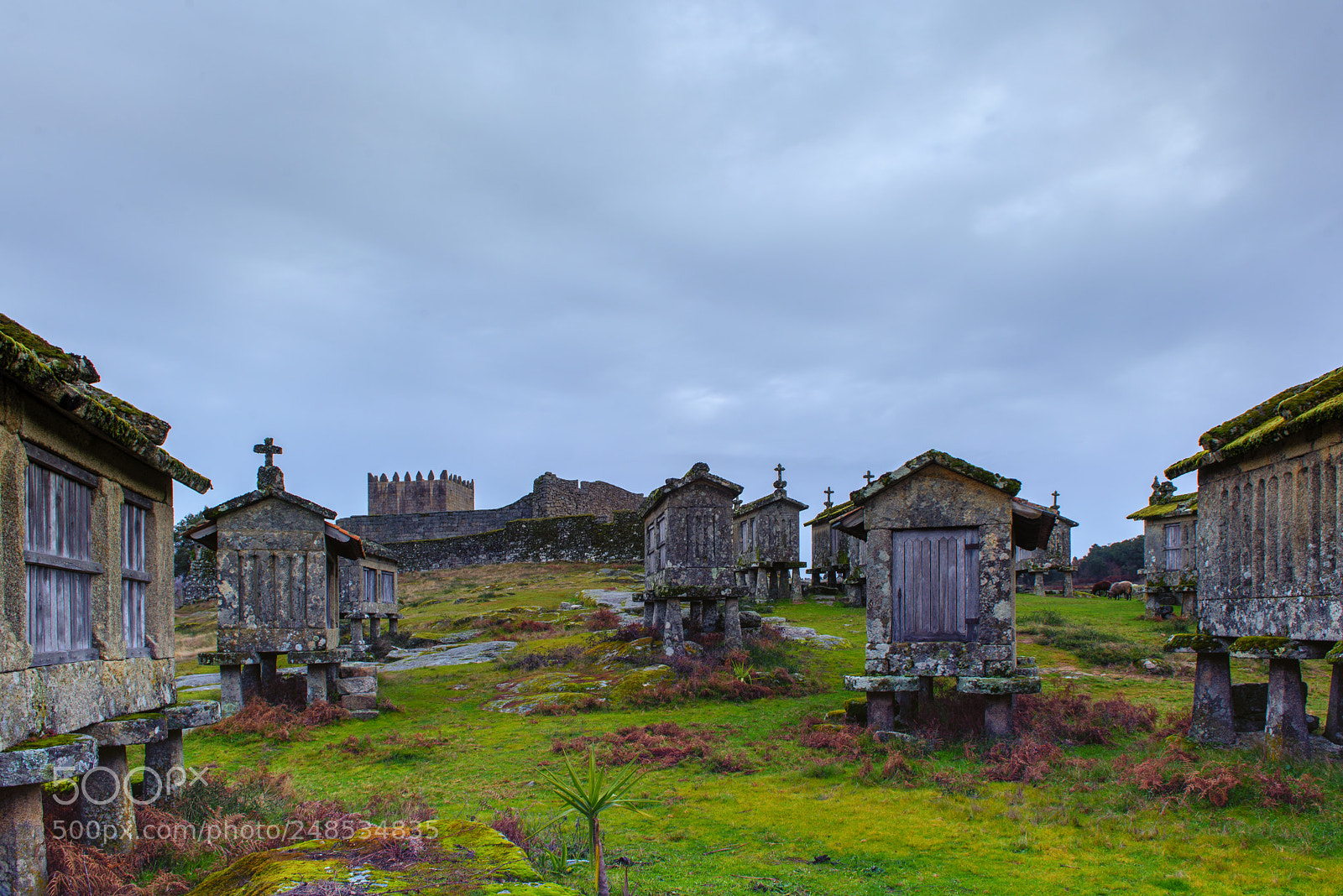 Nikon D600 sample photo. Granaries photography