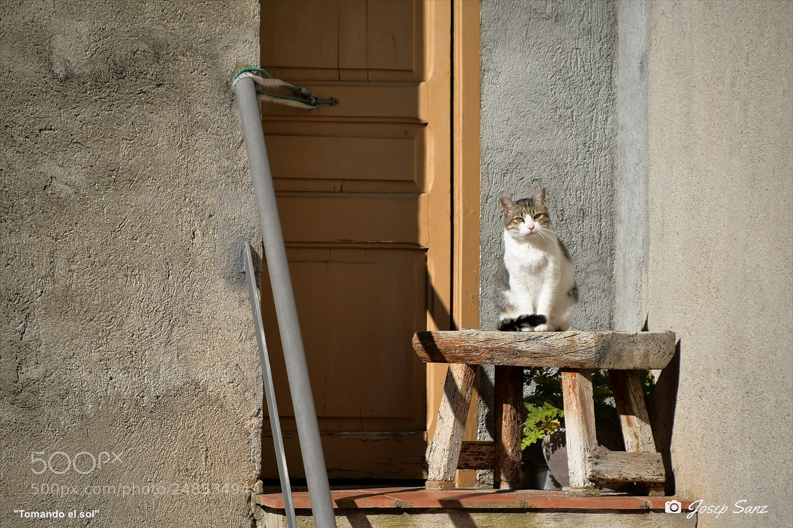 Nikon D7500 sample photo. Tomando el sol photography