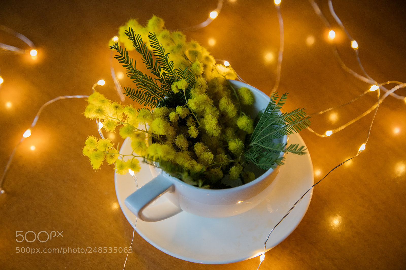 Canon EOS 5DS sample photo. Women day photography