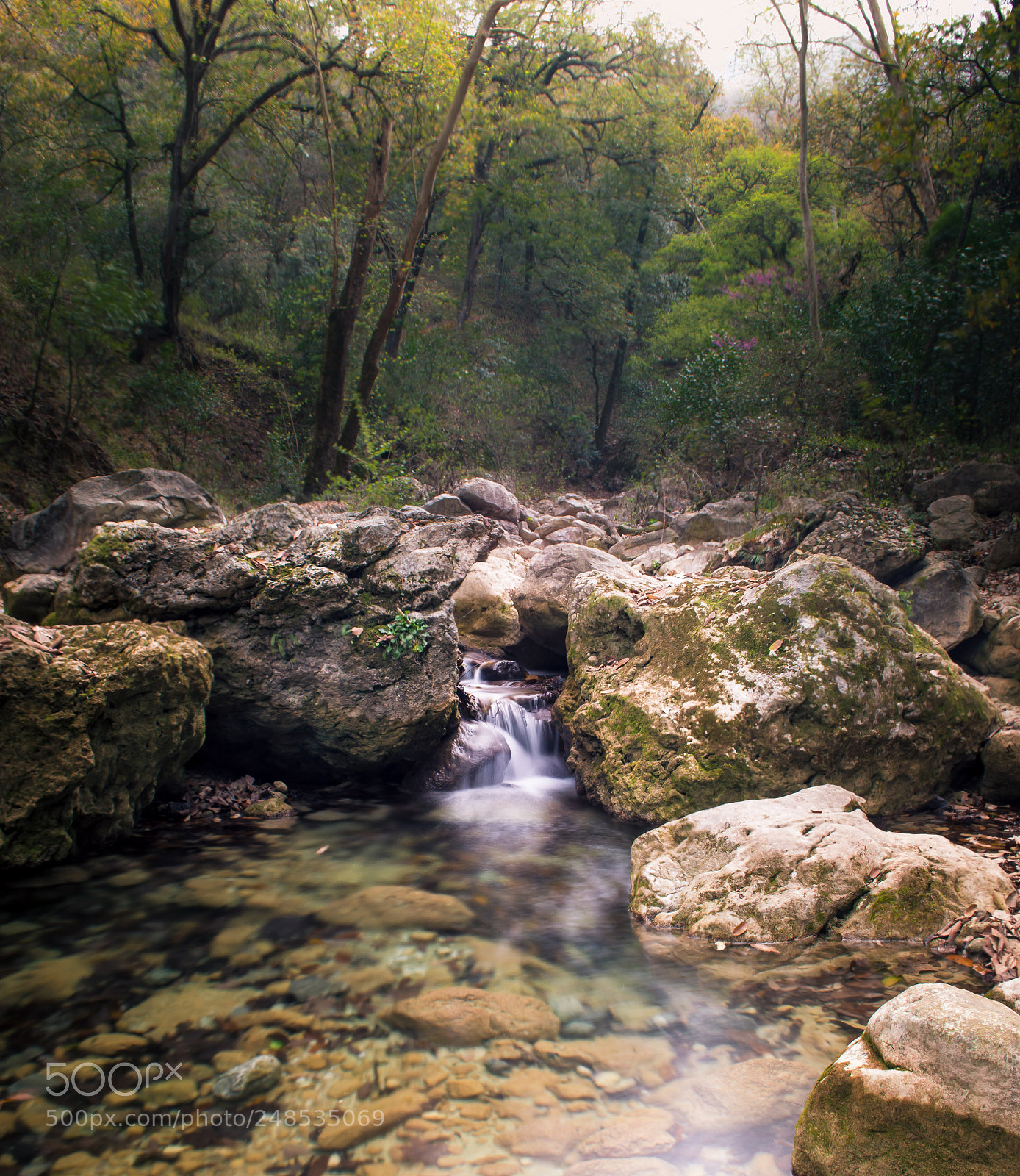 Nikon D3200 sample photo. True photography