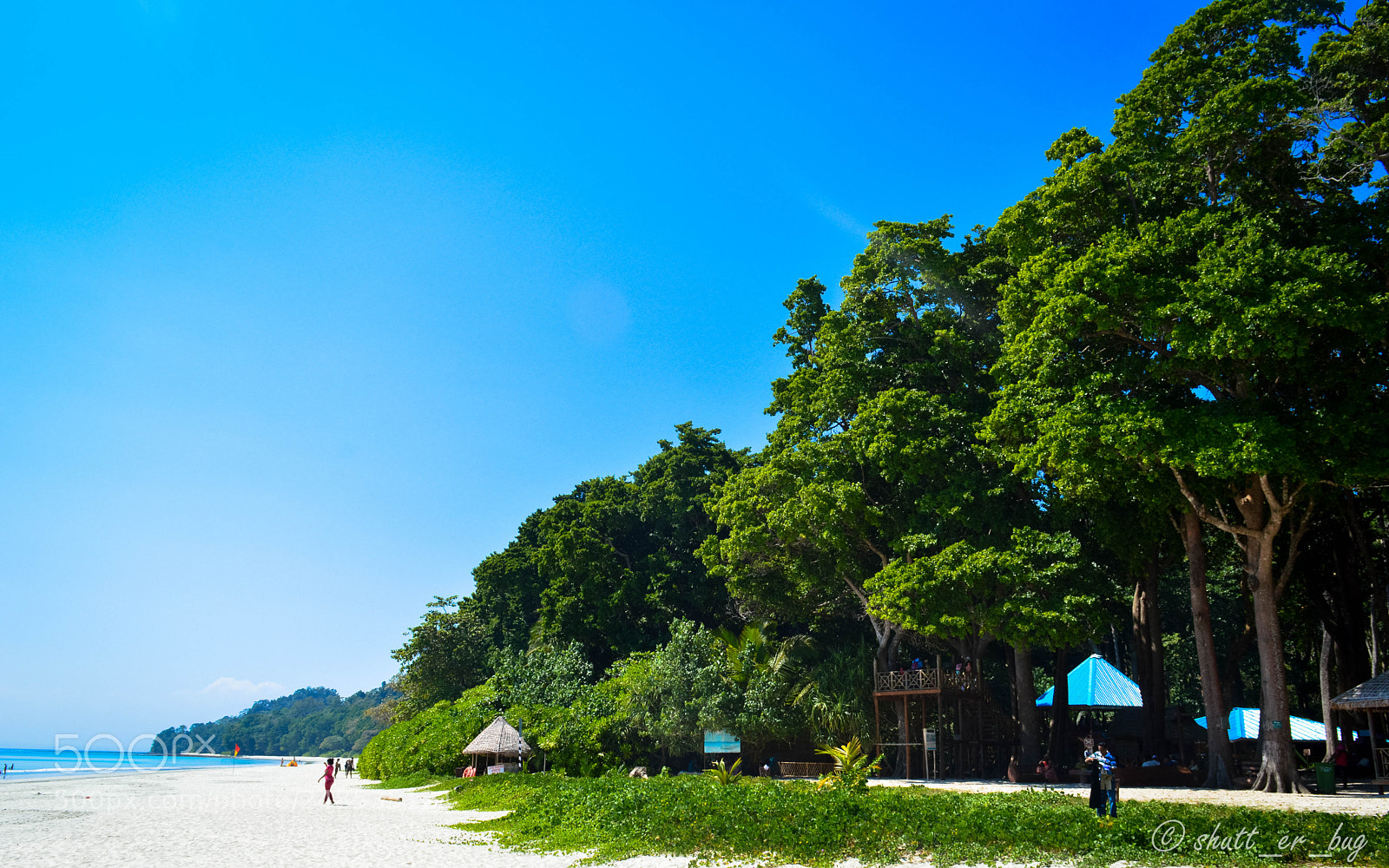 Nikon D3200 sample photo. Blue and green photography