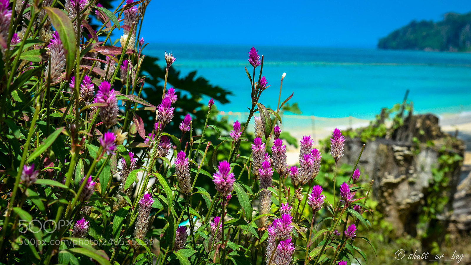 Nikon D3200 sample photo. Scintillating beauty photography