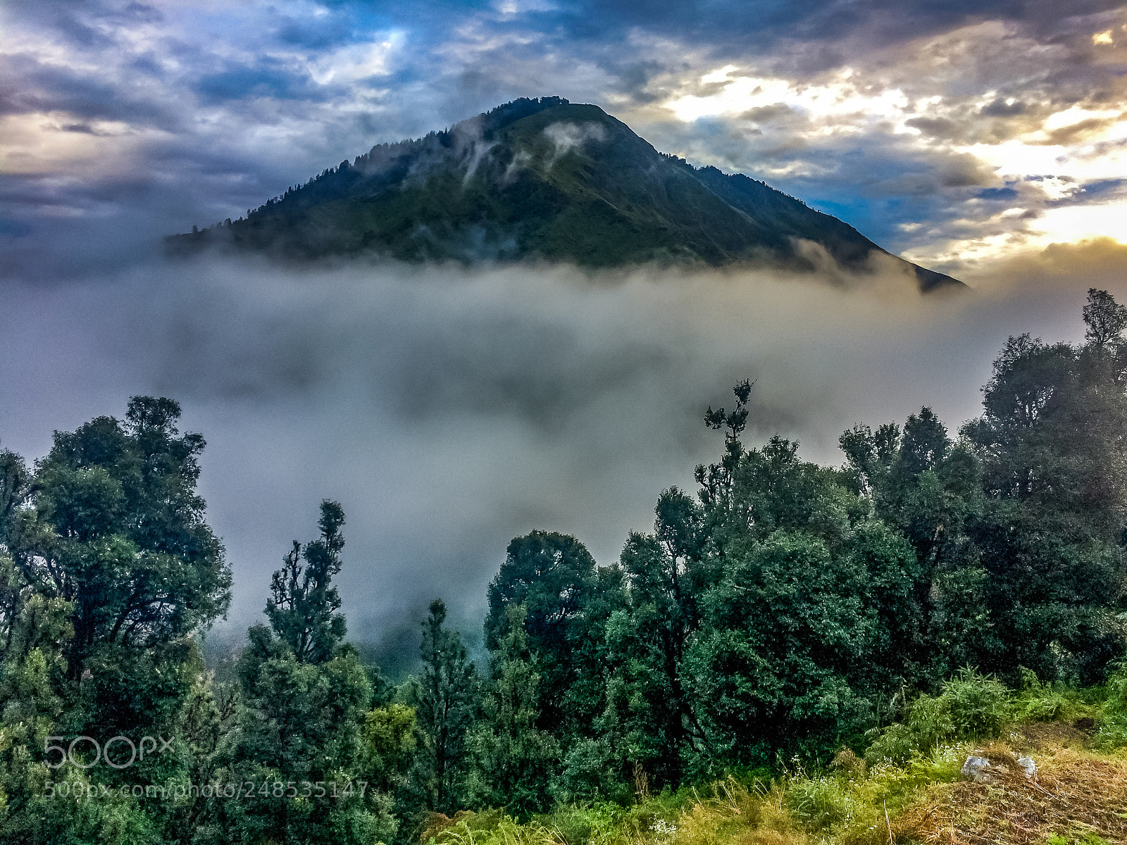Apple iPhone 5s sample photo. Rising above the mist photography