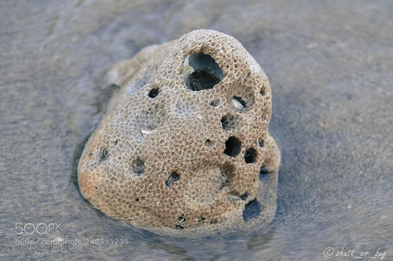 Nikon D3200 sample photo. Coral photography