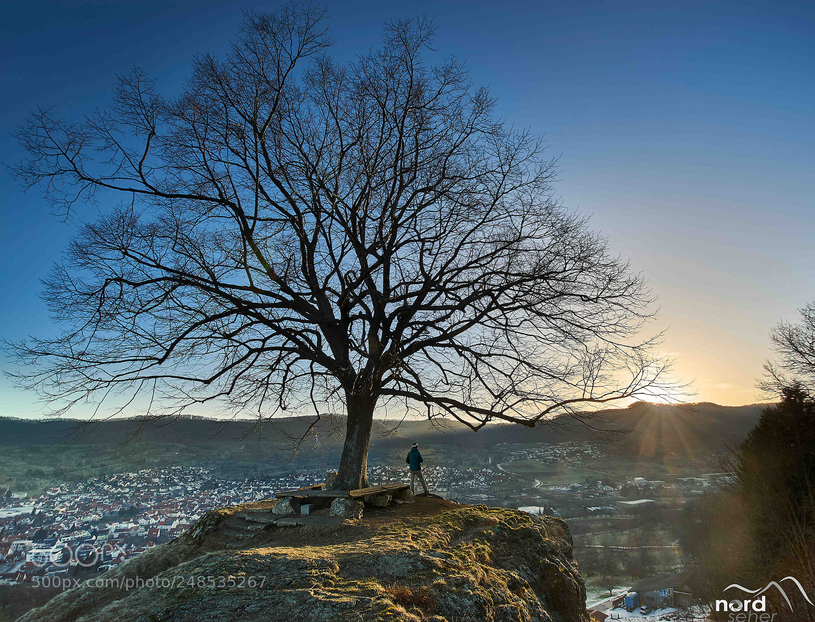 Sony ILCA-77M2 sample photo. Calverbühl am morgen photography