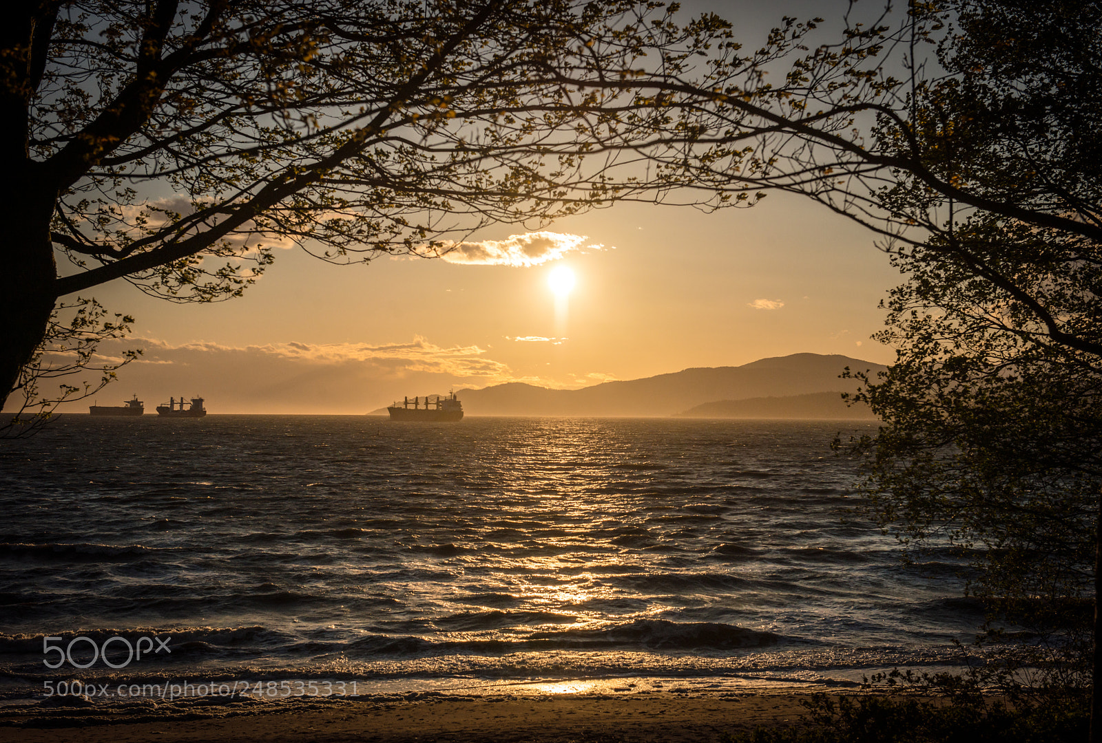 Nikon D800 sample photo. Second beach sunset photography