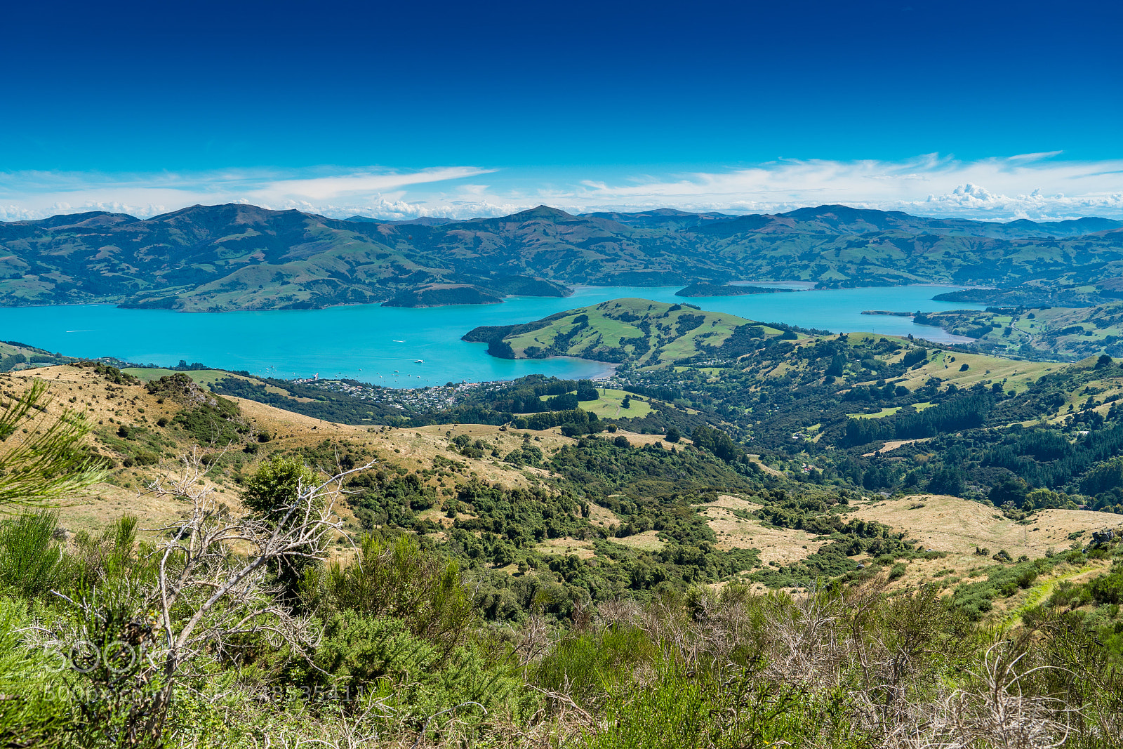 Sony a9 sample photo. View to akaroa photography