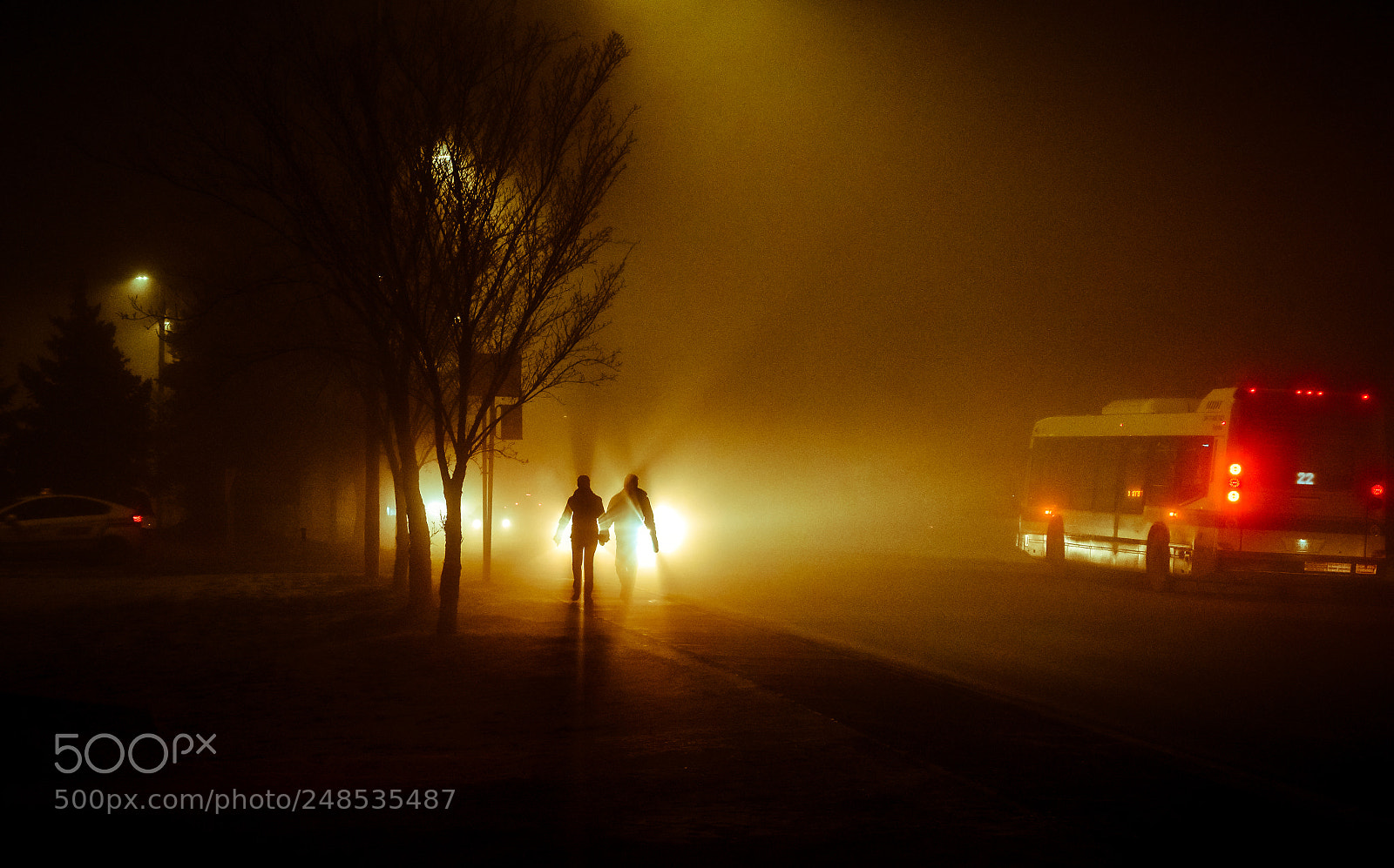 Nikon D5500 sample photo. Lovers in fogland photography