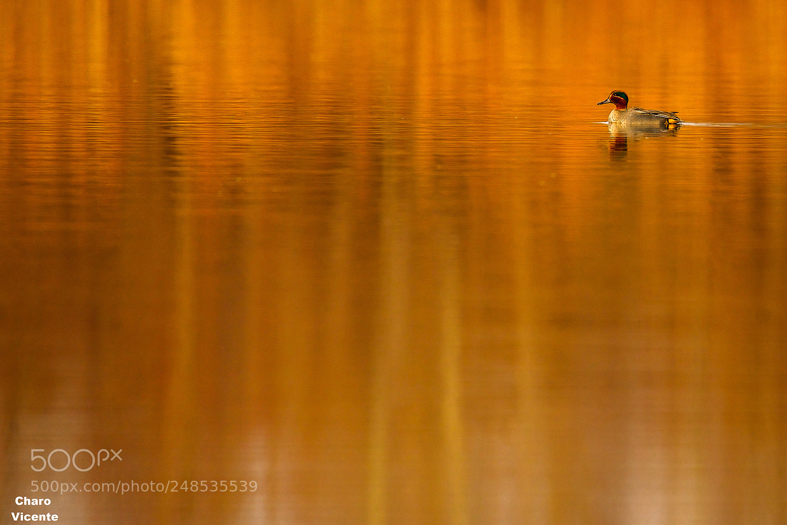 Nikon D610 sample photo. Minimalism 2 photography