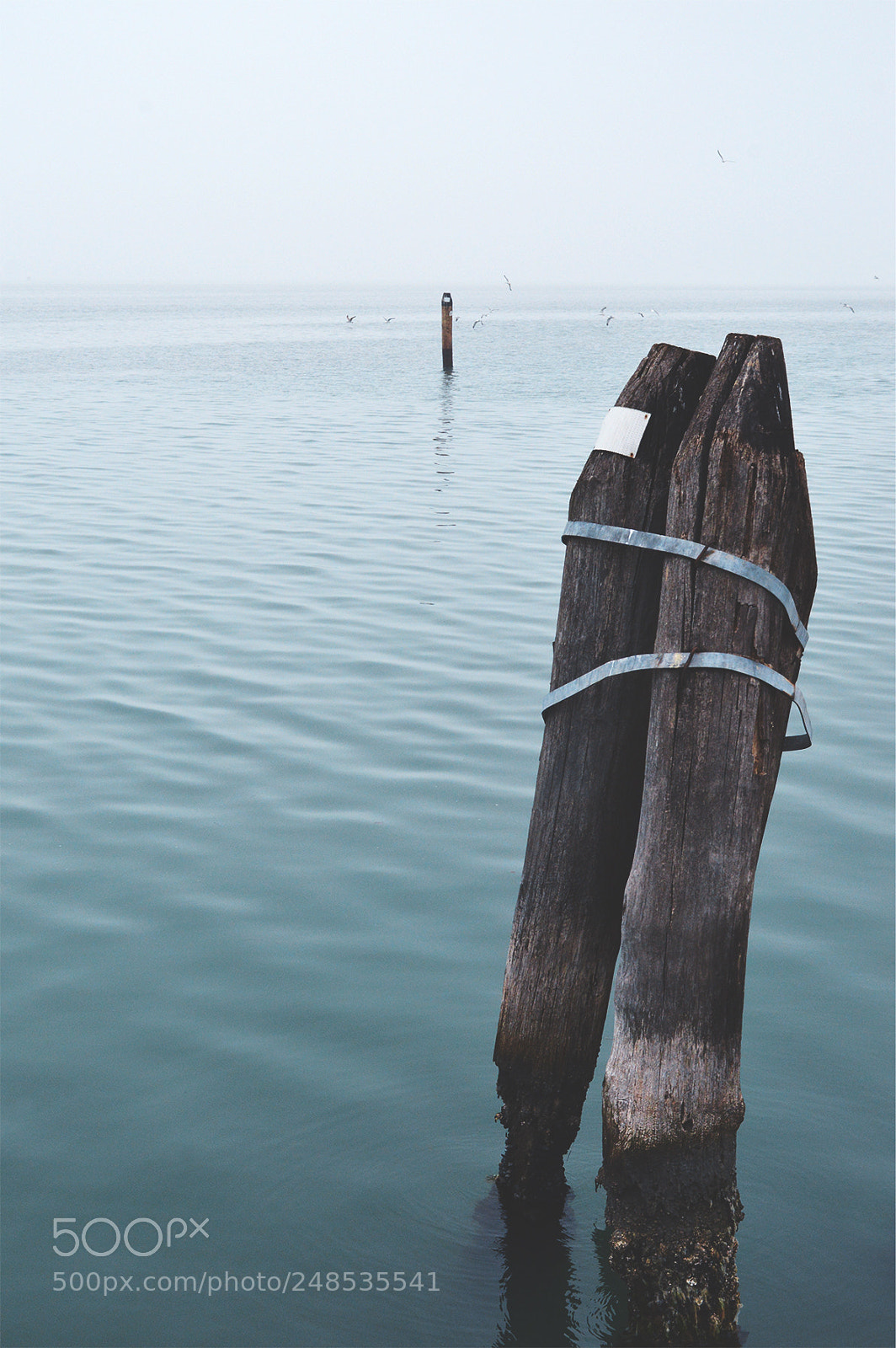 Nikon D3200 sample photo. Depth of ... sea photography