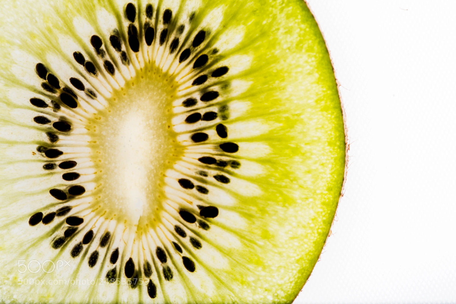 Nikon D7100 sample photo. Kiwi photography