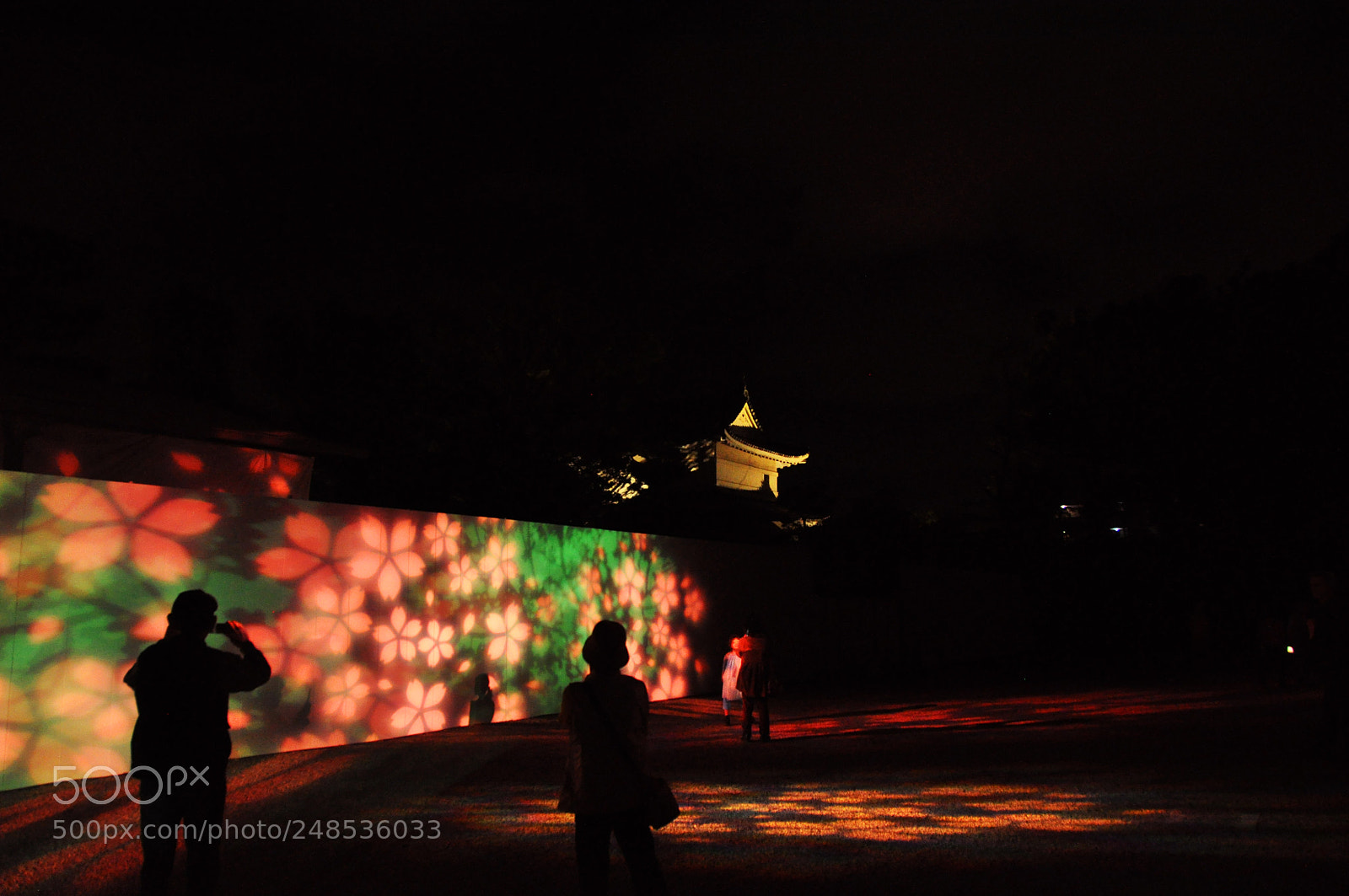 Nikon D5000 sample photo. Light flowers by night photography
