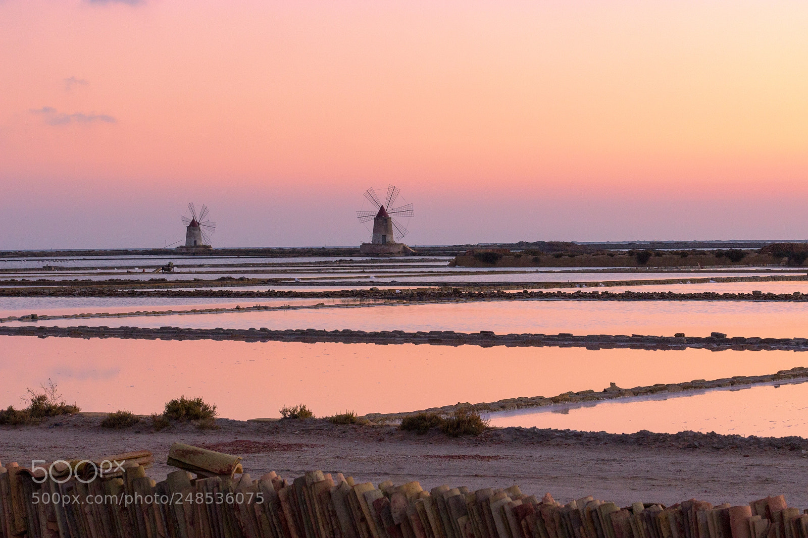 Canon EOS 600D (Rebel EOS T3i / EOS Kiss X5) sample photo. Sunset pink photography