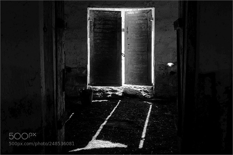 Nikon D610 sample photo. Light in the door photography