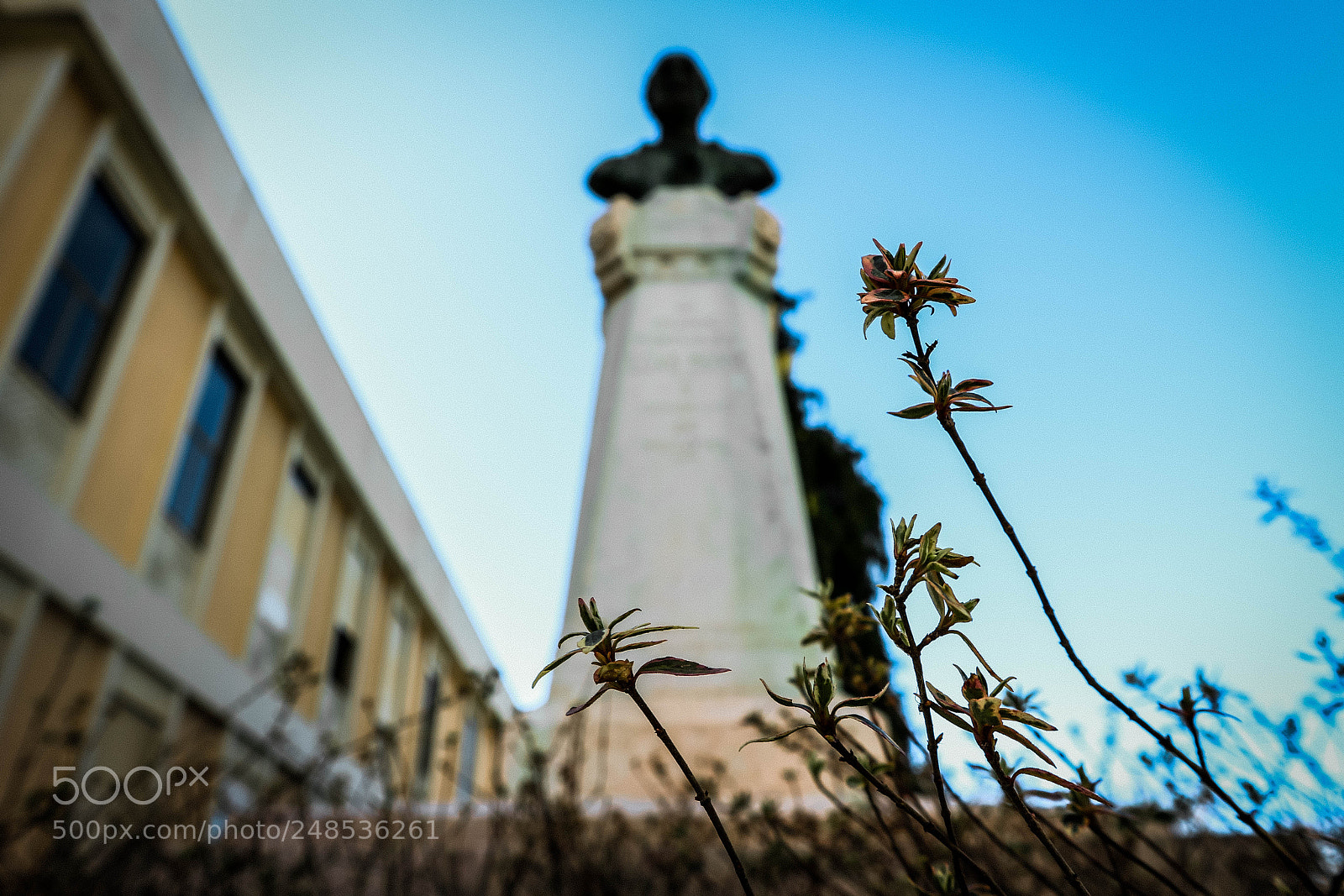 Canon EOS M10 sample photo. Untitled photography