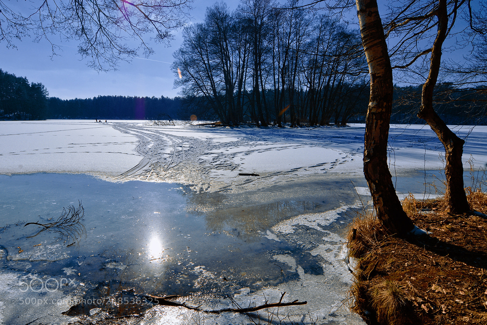 Nikon D7100 sample photo. Krzynia lake photography