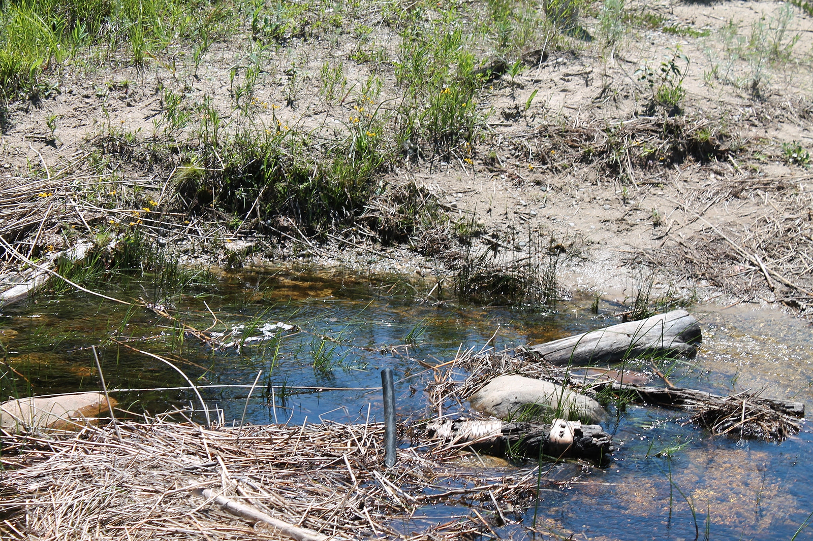 Canon EOS 1100D (EOS Rebel T3 / EOS Kiss X50) sample photo. Beaver dam photography