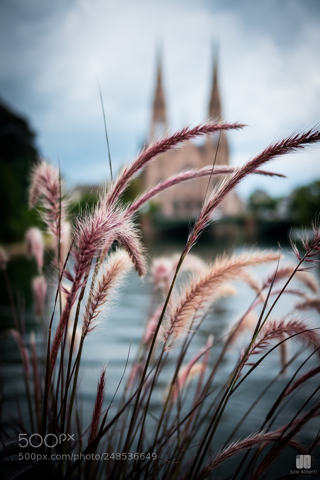 Panasonic Lumix DMC-GX85 (Lumix DMC-GX80 / Lumix DMC-GX7 Mark II) sample photo. Strasbourg // eglise saint paul photography