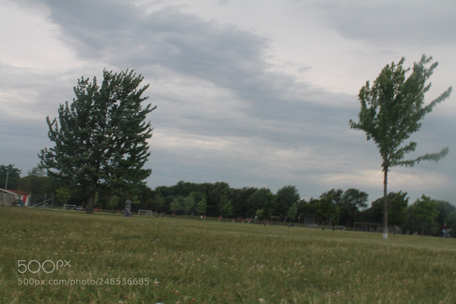 Canon EOS 1100D (EOS Rebel T3 / EOS Kiss X50) sample photo. Breeze photography